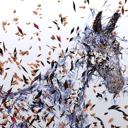 Horse and particles II