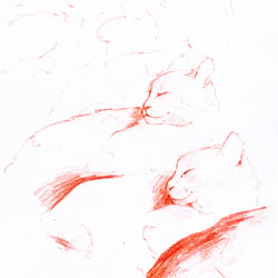 Kater Milo – Tool: Rötelstift