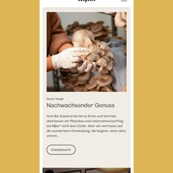 Website