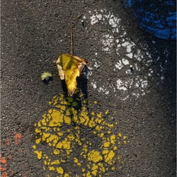 Colours