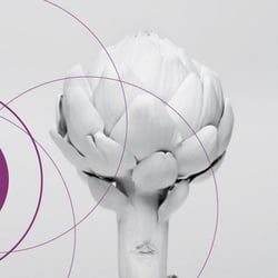 Corporate Design