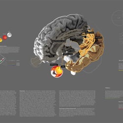 MA Thesis, Information Design