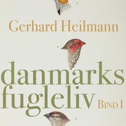 Danmarks fugleliv – Bind 3 – Gerhard Heilmann