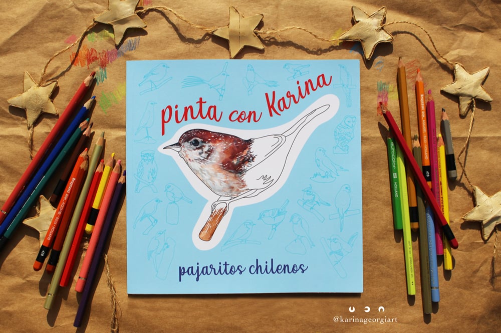 Cover and content of the self-published book“Pinta con Karina: pajaritos chilenos”, 2019.