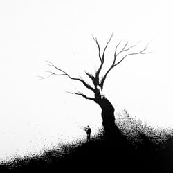 WaittoFADE