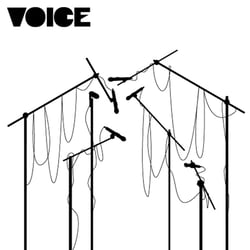 voice
