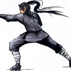 Ninja