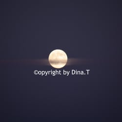 Moon Jun. 2014 © by Dina.T