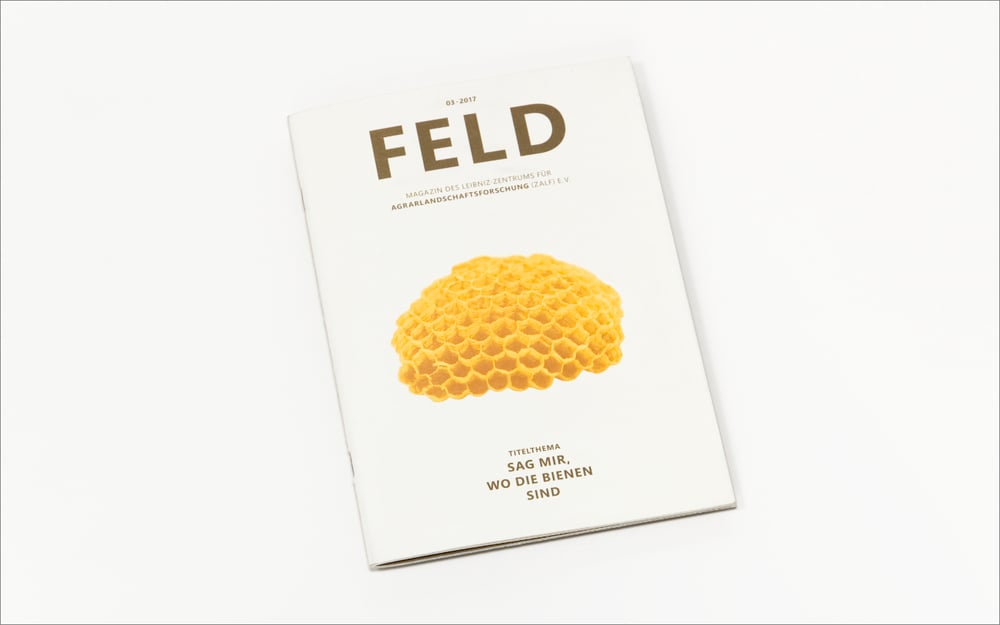 Magazin – FELD Ausgabe 03 | 2017 1