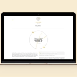 portfolio-website inhaltsseite-goldriss
