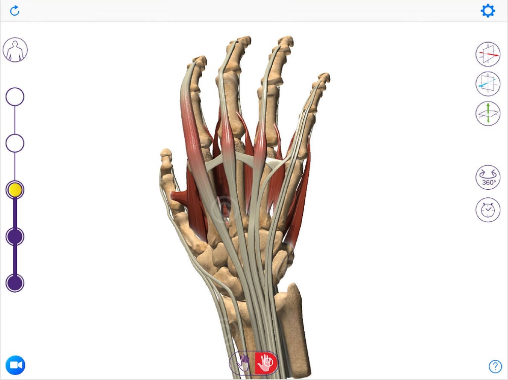 App zur Anatomie und Erkrankungen der Hand