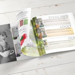 Katalog