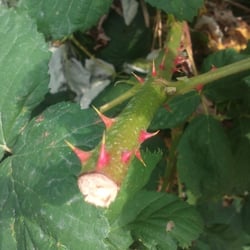 Natur 2012