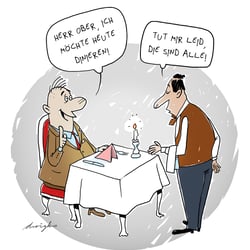 di_nieren