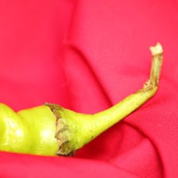Food Photography 2012