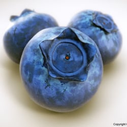 blueberrys