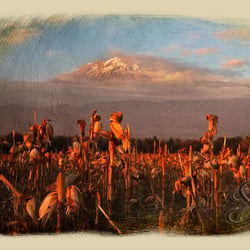 When the night comes at Mt. Kilimanjaro (Moshi, Tanzania 2018)