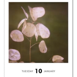 Poladarium 2012