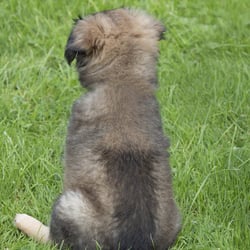 Blick in die Ferne