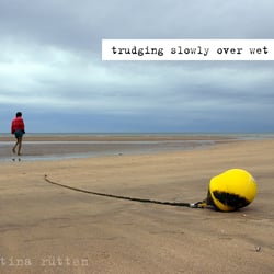 trudging slowly over wet sand