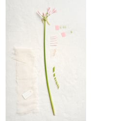 Still Life „Floral_1“