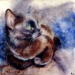 Katzenportrait – Aquarell