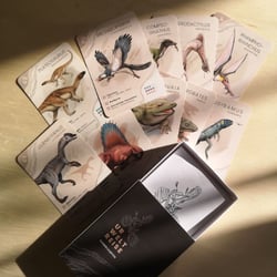 Kartenspiel Urweltreise