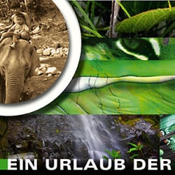 Urlaubsziel: JUNGLE