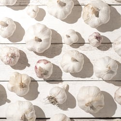 foodfotografie-knoblauch-studio-leipzig-carolin-reschke-4