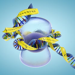 DNA – 3D Visualisierung