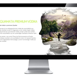 Website 21