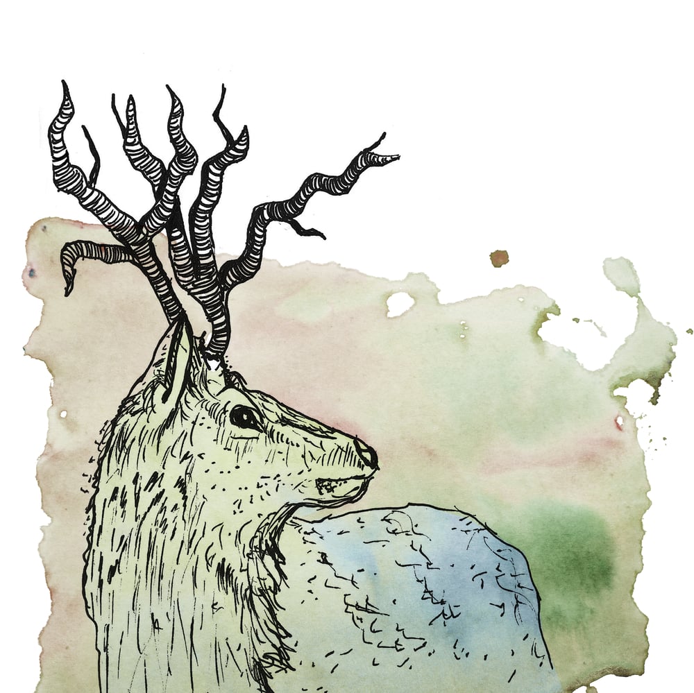 Hirsch