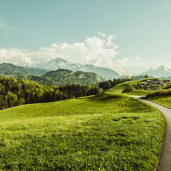 Berge V