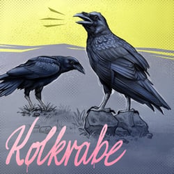 27-Kolkrabe-02
