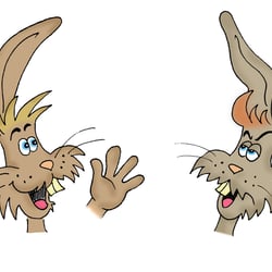 Debating Bunnies