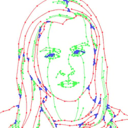 Vector Image