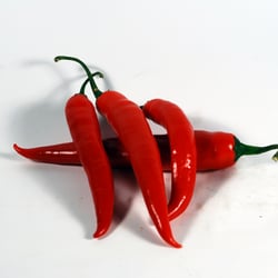 Chilli 4