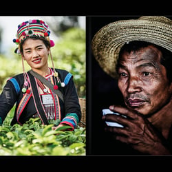 Slanted-Publishers-Tea-Trip 20