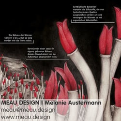 „ELFTAUSEND“ Wissenschaftsillustration, Layout Bartwürmer