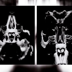 scull