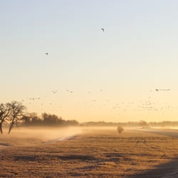 Sonnenaufgang in der Altmark