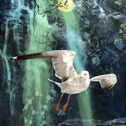 möwe