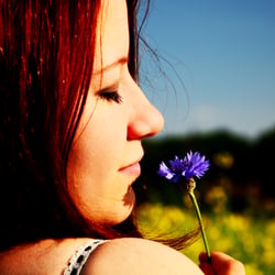 Blume