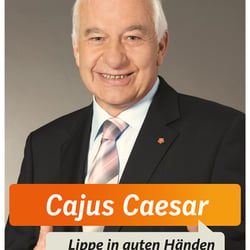 aa cdu plakat