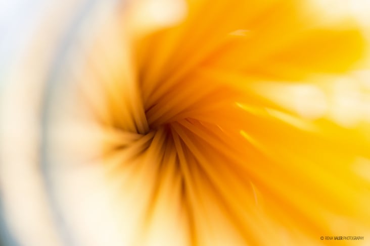 RENA VALER PHOTOGRAPHY – ENTFÄCHERT