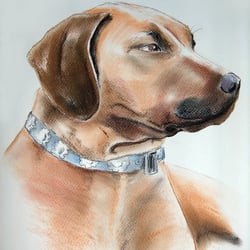 Pastellkreide Wachhund