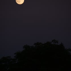 Moon – Jun. 2014 © by Dina.T