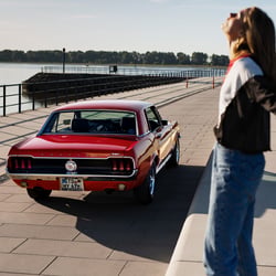 Mike Schaefer mustang – transportation