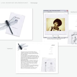 portfolio evalenz corporatedesign22