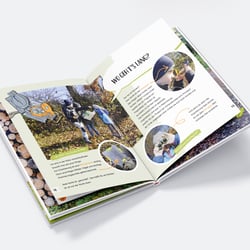 Kinder Magazin Layout und Illustration